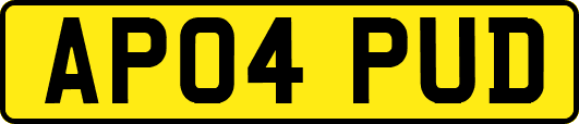 AP04PUD