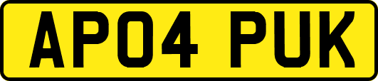 AP04PUK