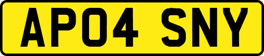 AP04SNY