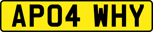 AP04WHY