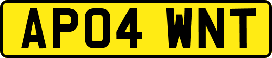 AP04WNT