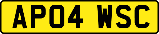 AP04WSC