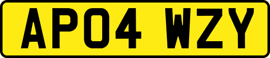 AP04WZY