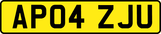 AP04ZJU