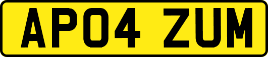 AP04ZUM