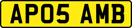 AP05AMB