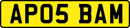 AP05BAM