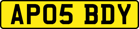 AP05BDY