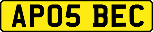 AP05BEC