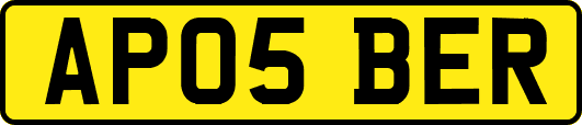 AP05BER