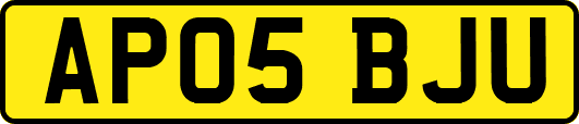 AP05BJU