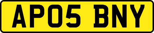AP05BNY