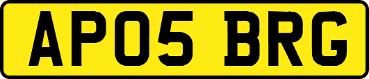 AP05BRG