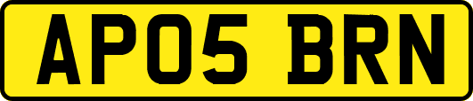 AP05BRN