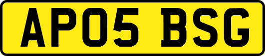 AP05BSG