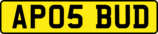 AP05BUD