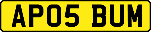 AP05BUM