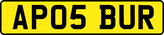 AP05BUR