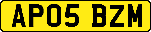 AP05BZM