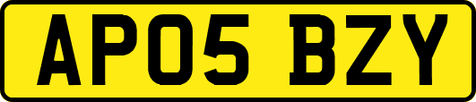 AP05BZY