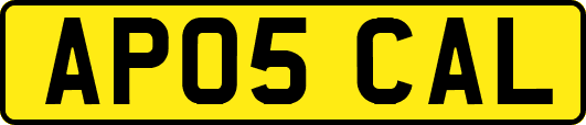 AP05CAL