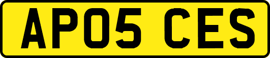 AP05CES