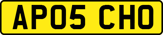 AP05CHO