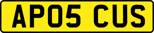 AP05CUS