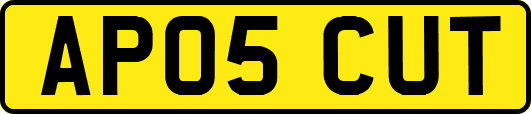 AP05CUT