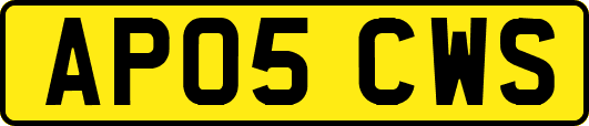 AP05CWS