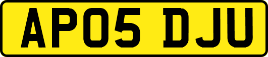 AP05DJU