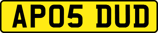 AP05DUD