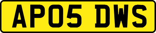 AP05DWS