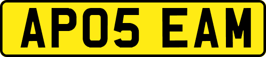 AP05EAM