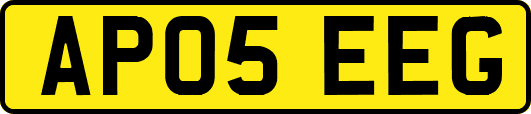 AP05EEG