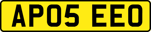 AP05EEO