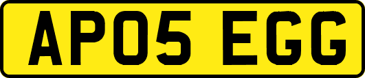 AP05EGG