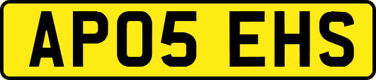 AP05EHS