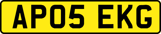 AP05EKG