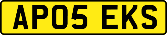 AP05EKS