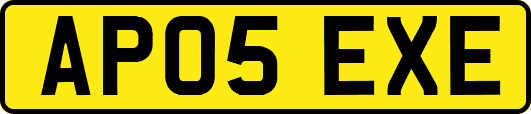 AP05EXE