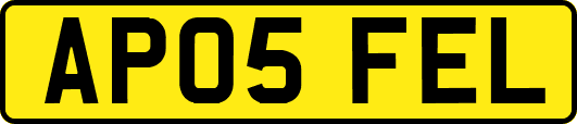 AP05FEL