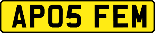 AP05FEM