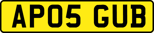 AP05GUB