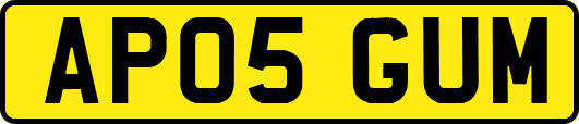 AP05GUM