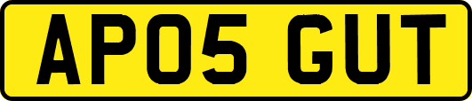 AP05GUT