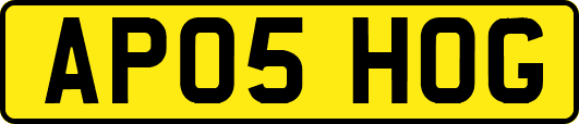 AP05HOG