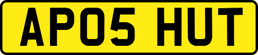 AP05HUT