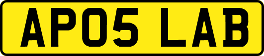 AP05LAB