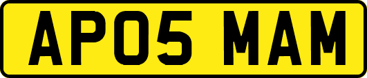 AP05MAM